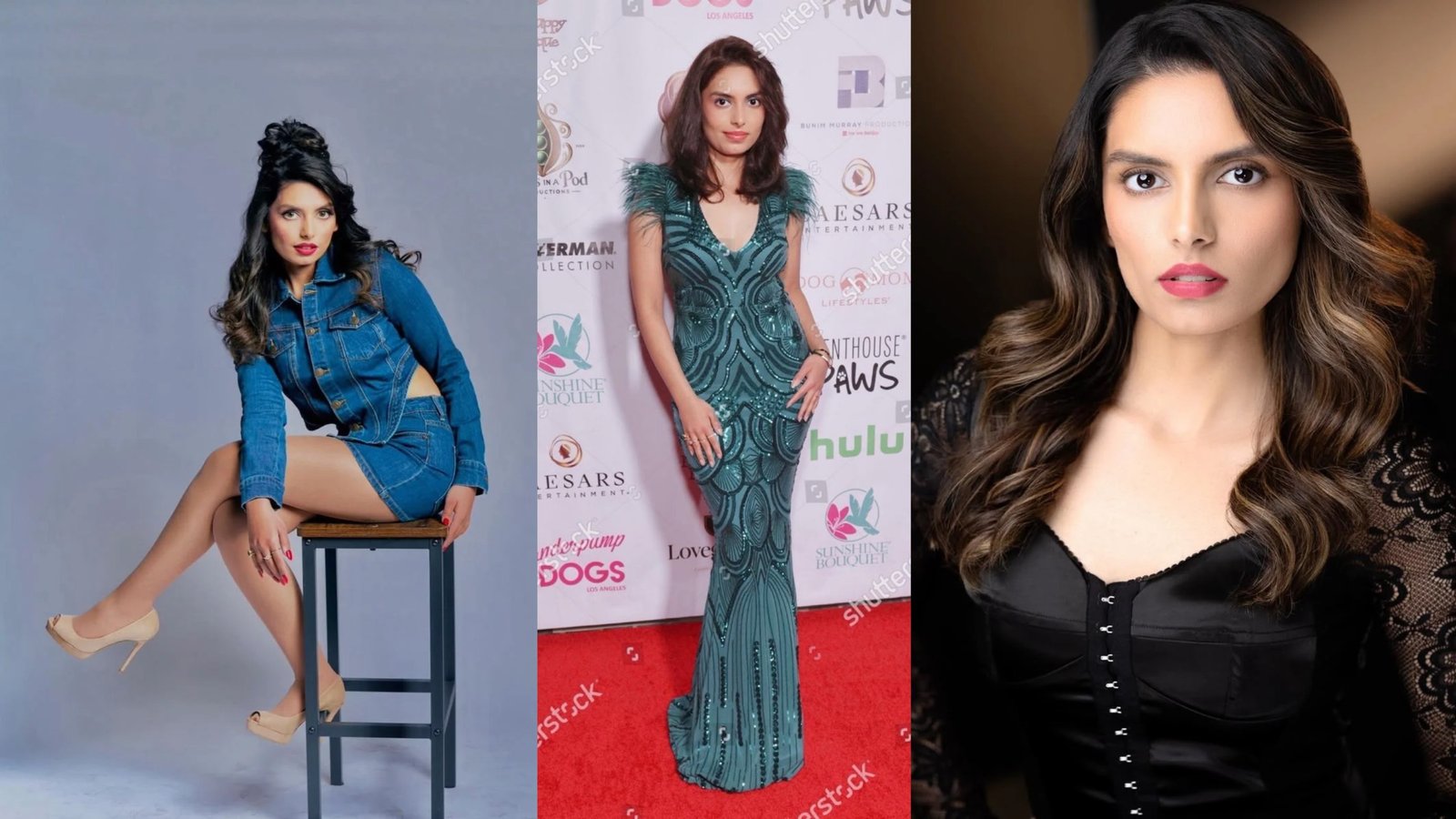 Shannon K Linked to Bigg Boss 20 Wildcard Entry Global Singer’s Journey Takes Centre Stage